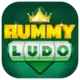 Rummy Ludo
